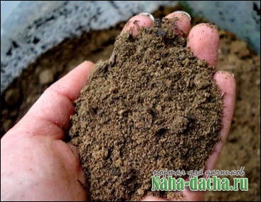 Как улучшить песчаную почву